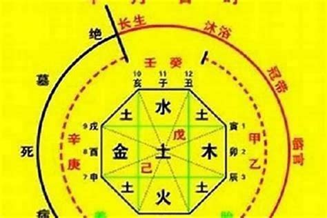 星算|生辰八字算命、五行喜用神查询（免费测算）